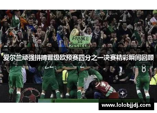爱尔兰顽强拼搏晋级欧预赛四分之一决赛精彩瞬间回顾