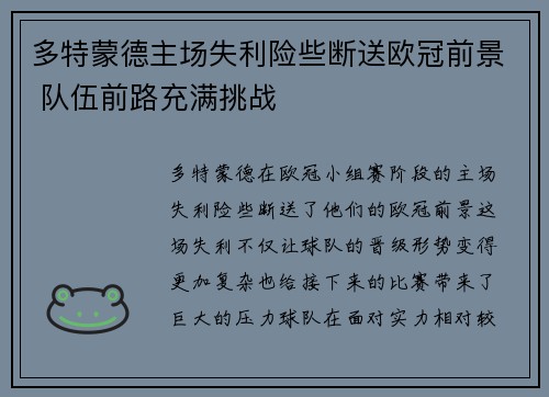 多特蒙德主场失利险些断送欧冠前景 队伍前路充满挑战