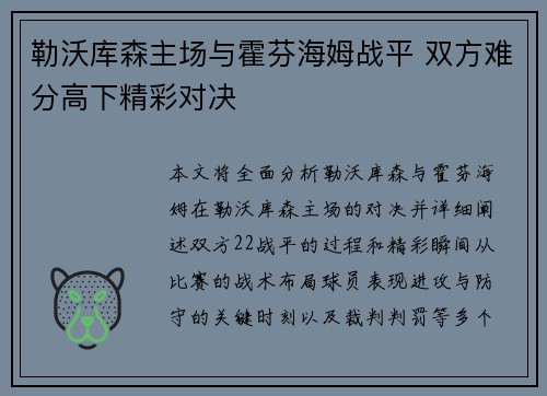 勒沃库森主场与霍芬海姆战平 双方难分高下精彩对决